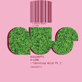 Catching Wild Pt. 1 |