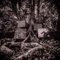Harmony of Difference (VINYL) | Mint (M) Mint (M)