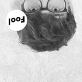 Fool [Import] | Mint (M) Mint (M)