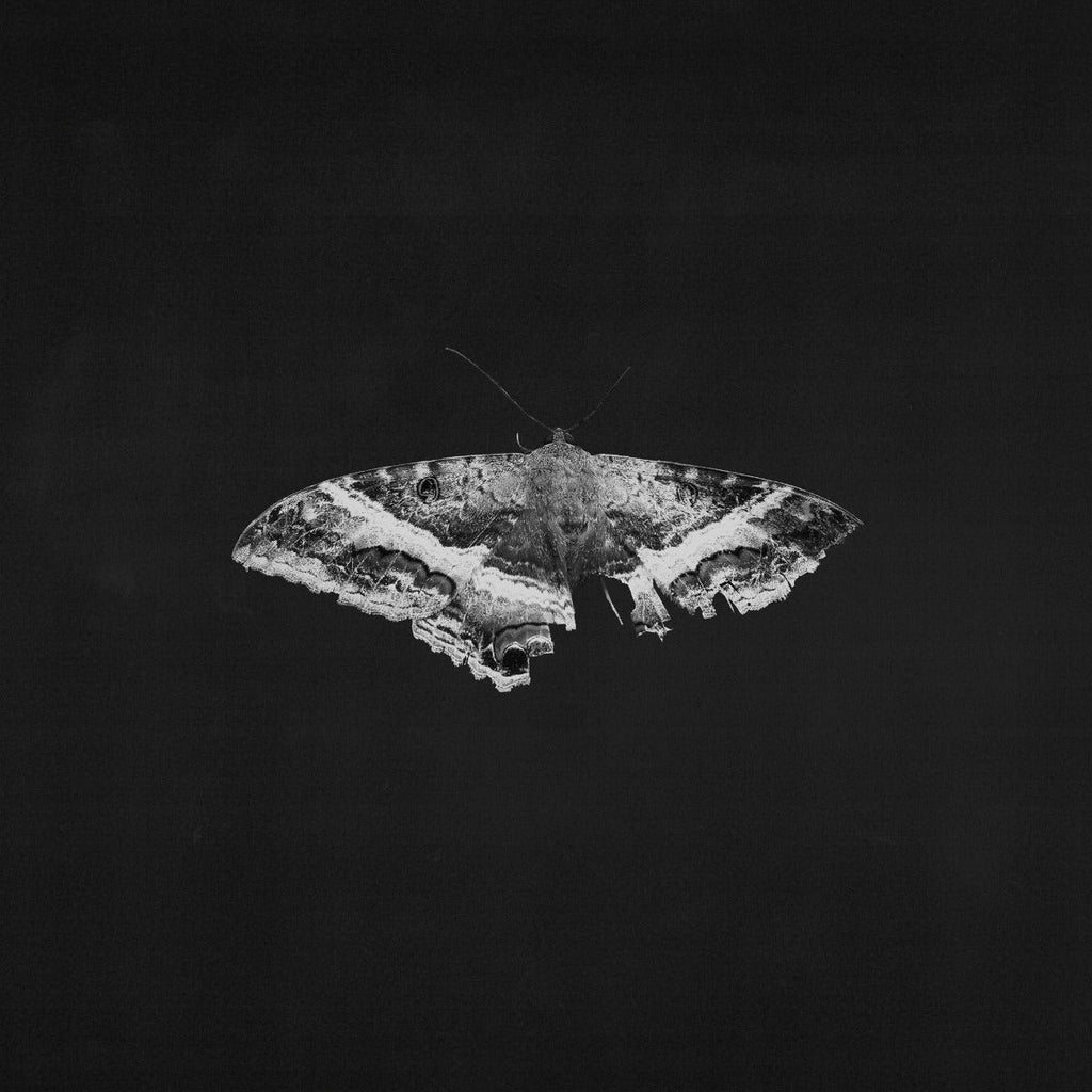 Kendrick Lamar - To Pimp A Butterfly (10 Year Anniversary Edition) - Alternate Artwork (180g 2xVINYL) | Mint (M) Mint (M)