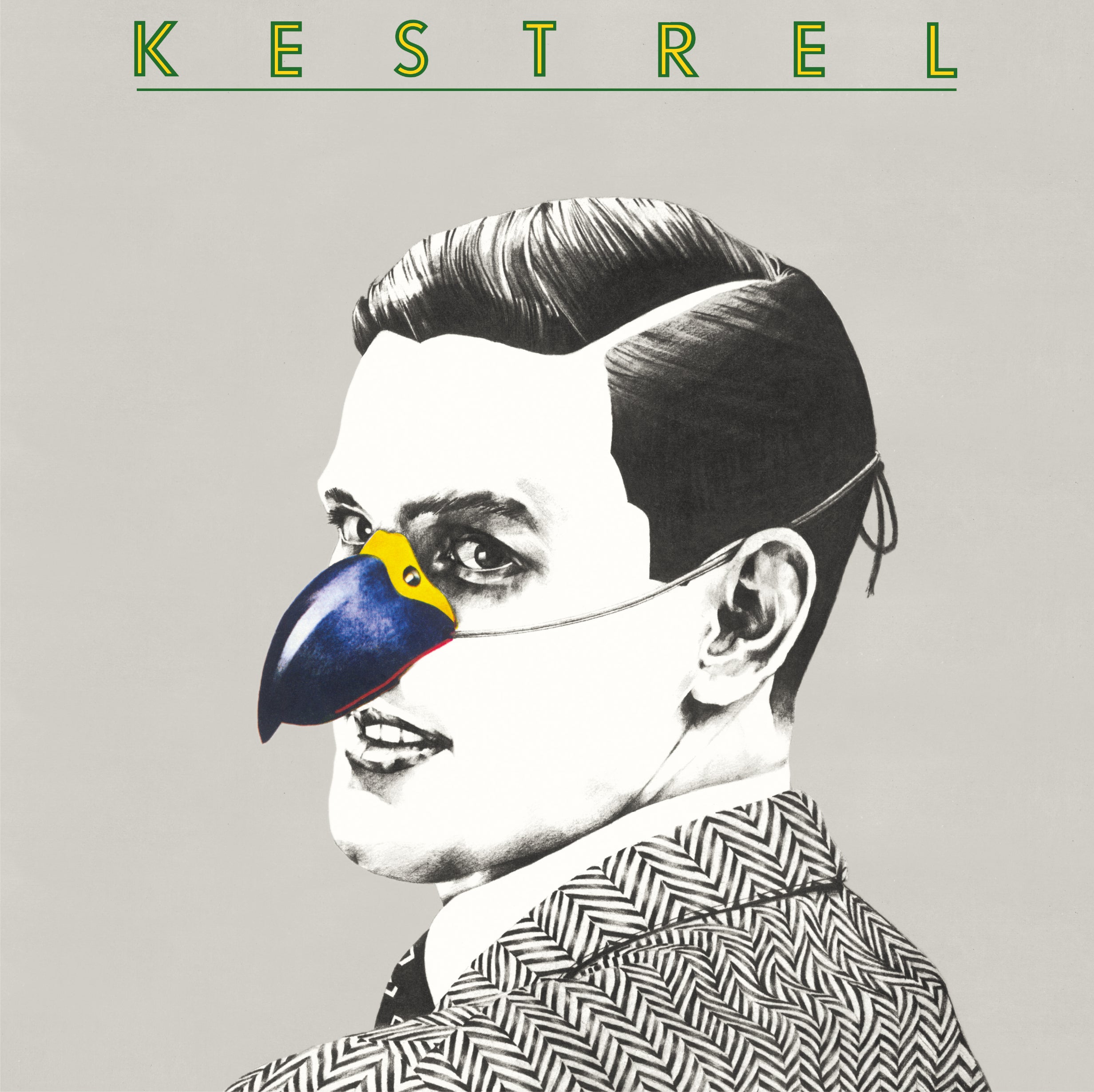 Kestrel |