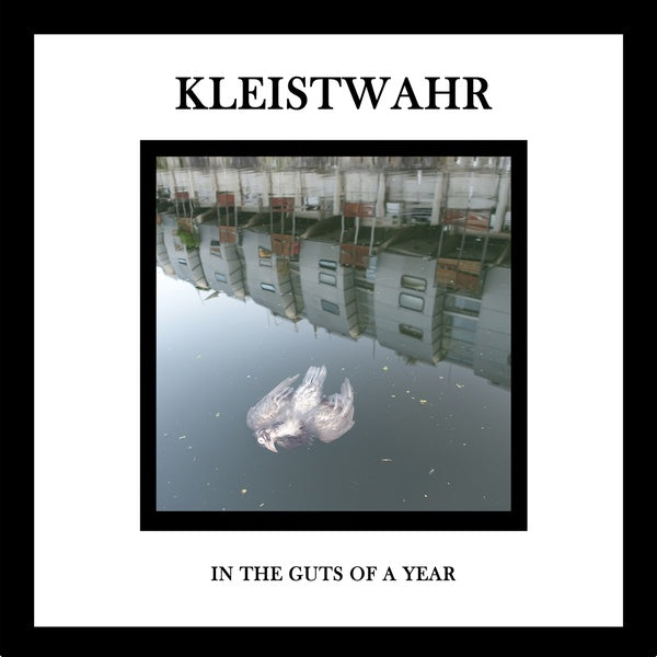 In the Guts of a Year |