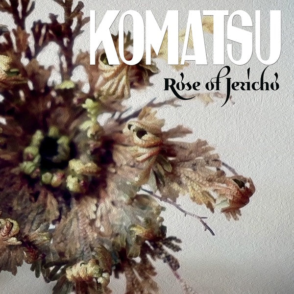 Rose Of Jericho |