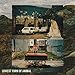 Lowest Form of Animal (10" Ltd Etched Color Vinyl) | Mint (M) Mint (M)