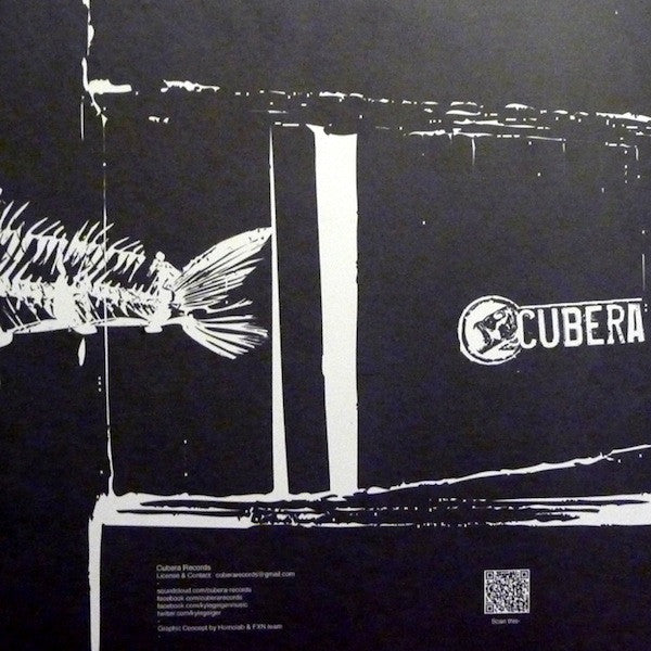 Kyle Geiger - Mimetic Disire EP | Near Mint (NM) Generic