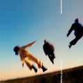 Come In Out Of The Rain (CD) | Mint (M)