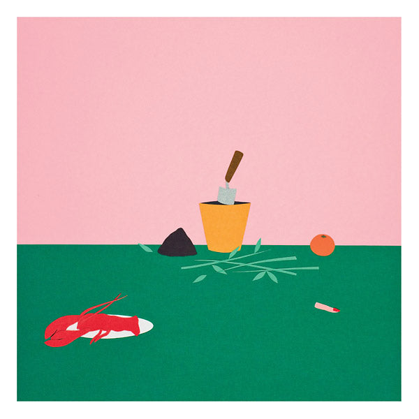 Passiflore |