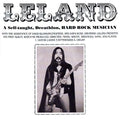 A Self-Taught, Decathlon Hard Rock Musician |