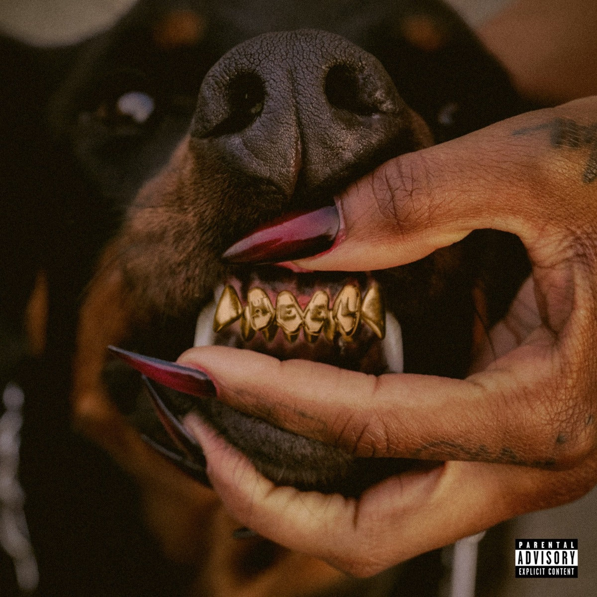 Leon Thomas - Mutt Deluxe: Heel [Translucent Ruby 2 Lp] |