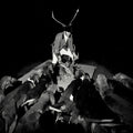 A Night Full Of Collapses |