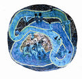A Space Water Loop |
