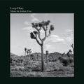 Music For Joshua Tree |
