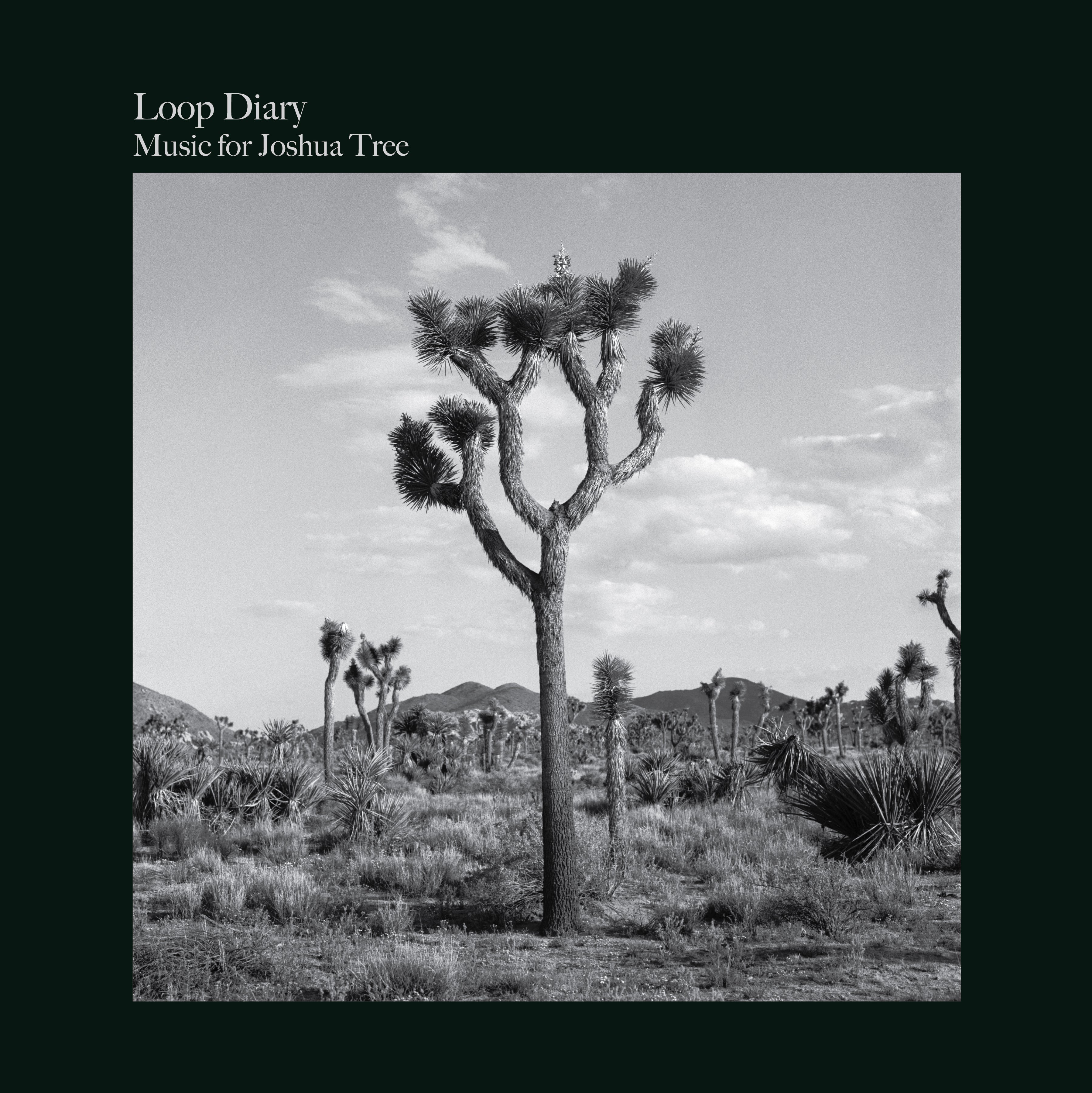 Music For Joshua Tree |