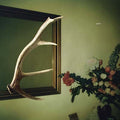Exits |