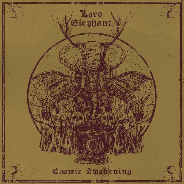 Cosmic Awakening (Orange Vinyl) |