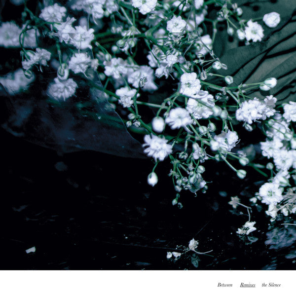 Between The Silence Remixes | Mint (M) Near Mint (NM)
