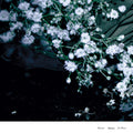 Between The Silence Remixes | Mint (M) Near Mint (NM)