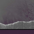 Apophenia [Import] | Mint (M) Mint (M)