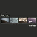 Evolver (CD) | Mint (M) Mint (M)