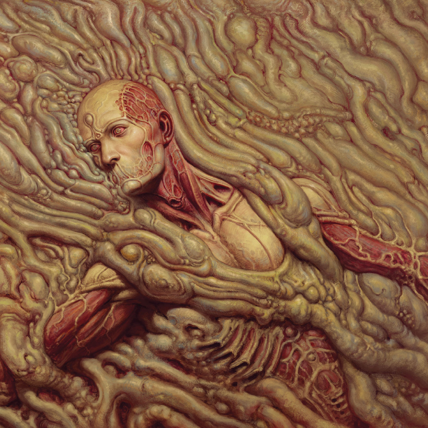 Scorn |