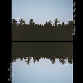 Now That The Light Is Fading (10" Vinyl) | Mint (M) Mint (M)