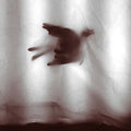 Tiny Birds |