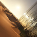 Under The Sun (2xVINYL) | Mint (M) Mint (M)