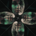 Holography |