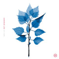 Get Sunk [CD] |
