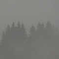 Donnerwetter |