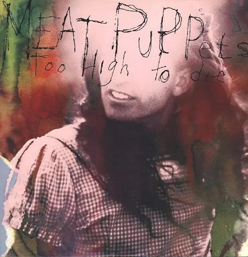 Meat Puppets - Too High To Die (VINYL) | Mint (M) Mint (M)
