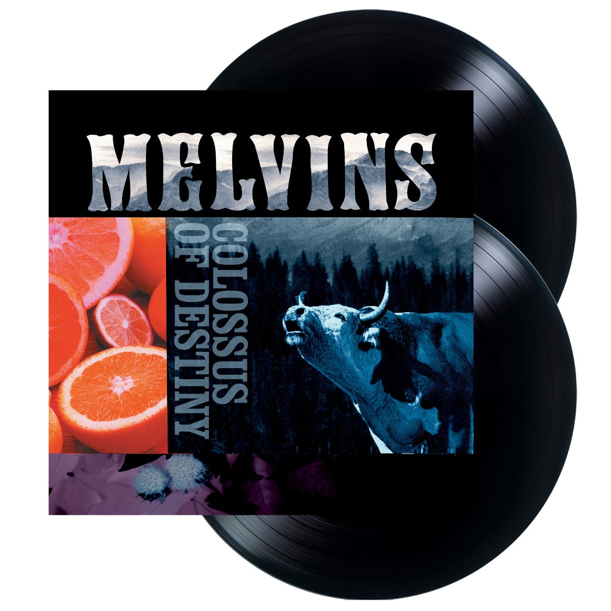 Colossus Of Destiny (2xVINYL) | Mint (M) Mint (M)