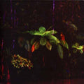 Puppet Island |