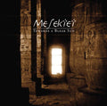 Towards a Bleak Sun |