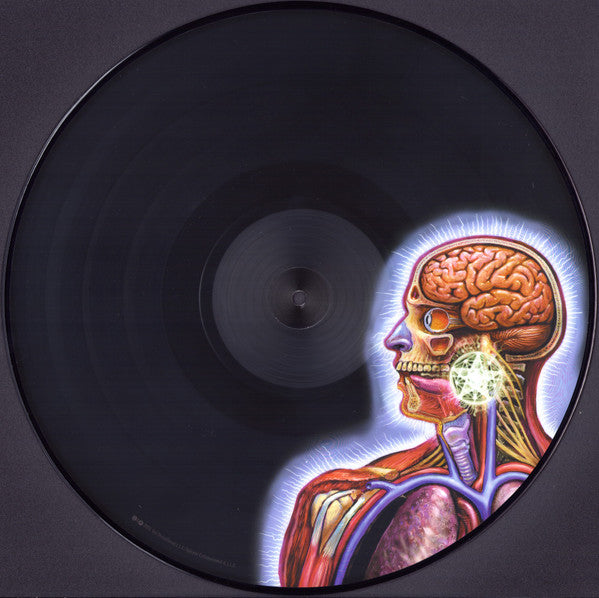 Lateralus | Mint (M) Mint (M)