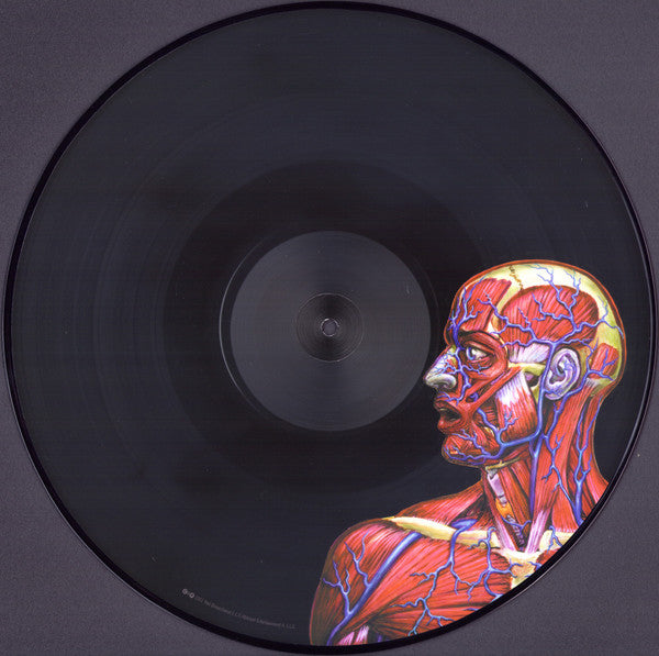 Lateralus | Mint (M) Mint (M)