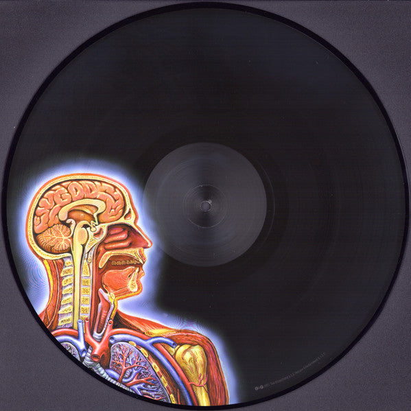 Lateralus | Mint (M) Mint (M)