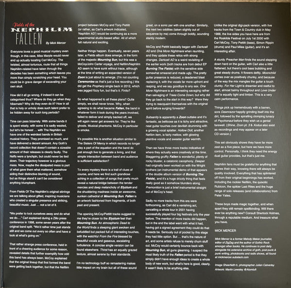Fallen (VINYL) | Mint (M) Mint (M)