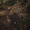 Baptists - Bloodmines (VINYL) | Near Mint (NM or M-) Mint (M)