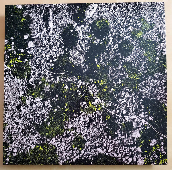 King Gizzard And The Lizard Wizard - Infest The Rats Nest (Live At Red Rocks 2022) (VINYL) | Near Mint (NM) Mint (M)