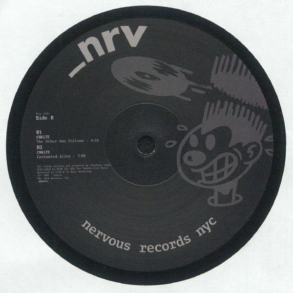 Fallen Algorithm (VINYL) | Mint (M) Generic