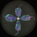 No Bodies EP (VINYL) | Mint (M) Mint (M)