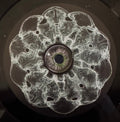 Luminus EP (VINYL)(BARAC RMX) | Mint (M) Mint (M)