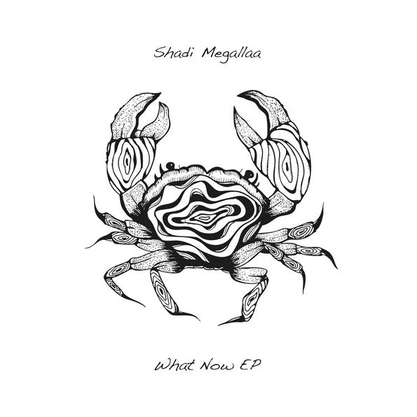 What Now Ep (VINYL) | Mint (M) Mint (M)