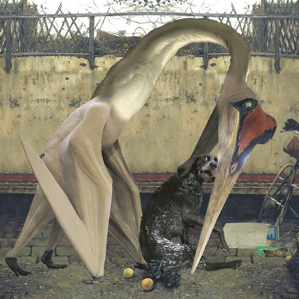 Rhadoo - Semantics EP (2xVINYL) | Near Mint (NM) Near Mint (NM)