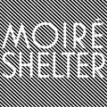 Shelter | Mint (M) Mint (M)