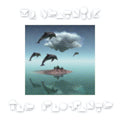 Ile Flottante |