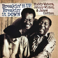 Breakin' It Up Breakin' It Down (180 Gram Clear Gold Audiophile Vinyl/Gatefold |
