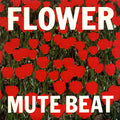 Flower |