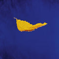 True Faith (2023 Remaster) (Vinyl) | Mint (M) Mint (M)